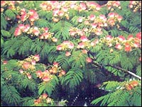 说明: http://www.cgcexpo.com/images/wh_6.1_13.jpg